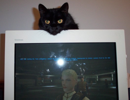 Zazz watching me play KOTOR