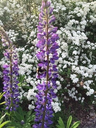 #SampleSunday - Seduced Into The Greek's World (2)