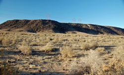 Another Stark Landscape
