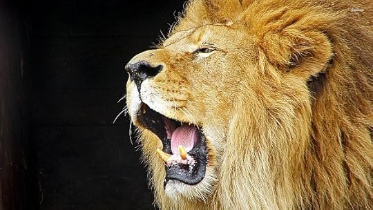 roaring-lion-102157