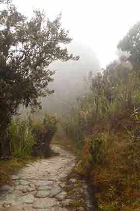 Hiking in the clouds