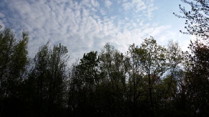 20150511_081255