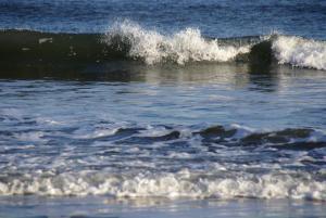 Photo by Ian Britton