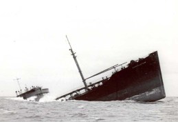 Abandon Ship Synthetic Hormones