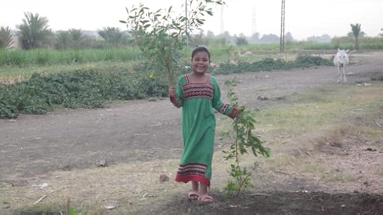 17795163628_d1e4a021cc_o