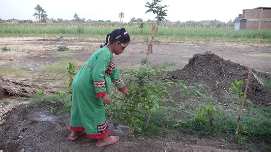 17979839652_c81959eca6_o