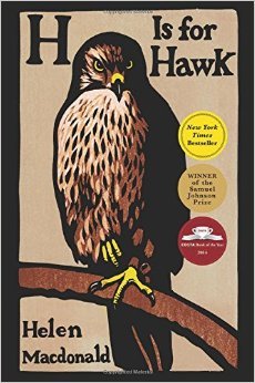 Hawk cover