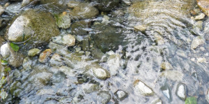 water