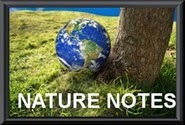 NatureNotes