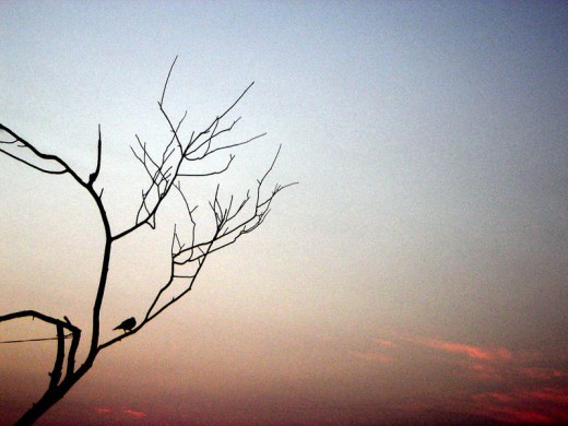 image source
