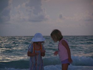 259957_242364639109333_2722197_n