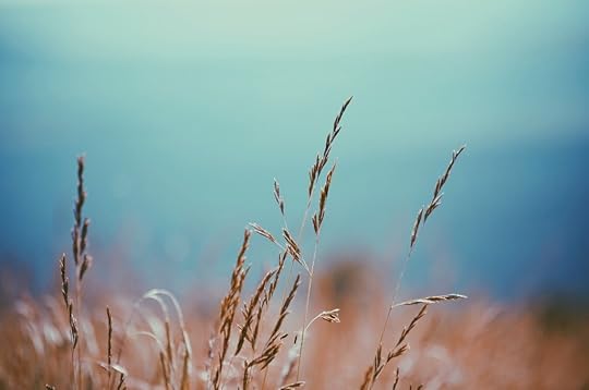 It's Time to Thrive | Tracie Braylock