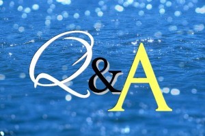 Q&A