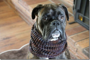 Knit a scarf