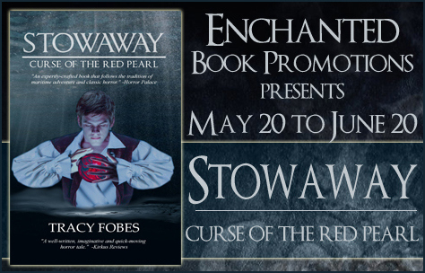 stowawaybanner