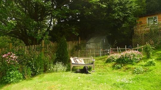 Summer Bench 1
