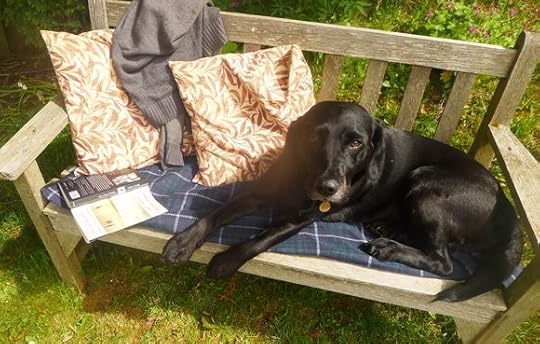 Sunny bench 4