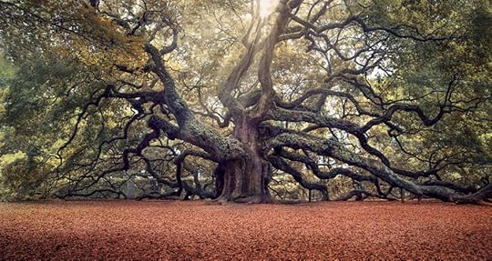 Photograph Voices of the Angels by Magda Bognar on 500px