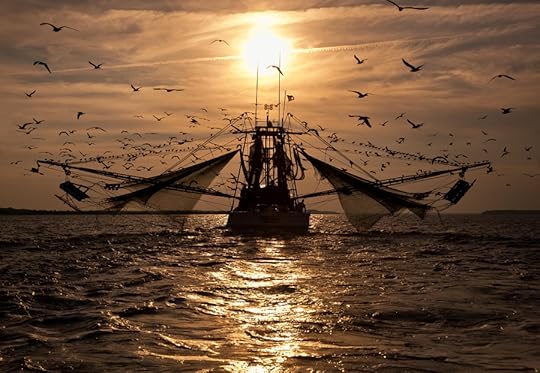 Photograph A Long Day by Carmody Baker on 500px