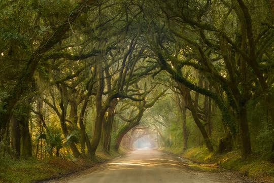 Photograph Deep South by Joseph Rossbach on 500px