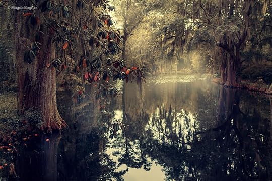 Photograph Southern Magic by Magda Bognar on 500px