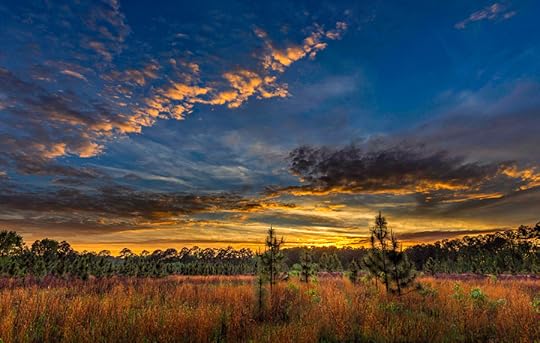 Photograph Moody blues by Farnsworth on 500px