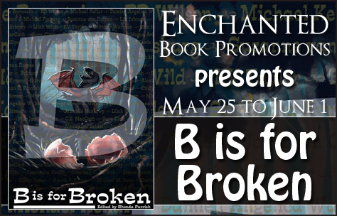 bisforbrokenbanner