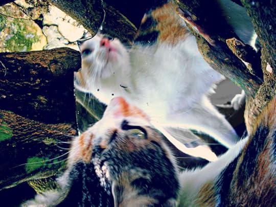 Elise in a reflective mood.