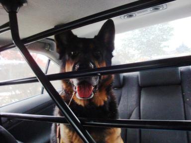 CarRide