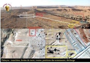 palmyra1