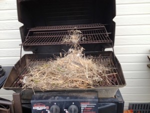 grill