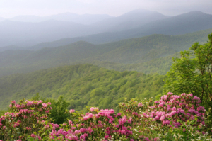 mountains in early summer