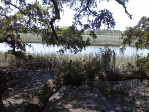 Southern Gothic isn't all marshes and haunted plantations, but sometimes, it is. I took this picture at my last family reunion.