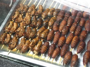 2768071283 c6286dd53b o