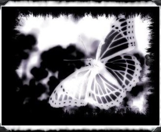Were something becomes nothing and nothing becomes something, and both potentials codepend out of a space where they are one.