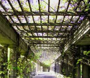 Pergola
