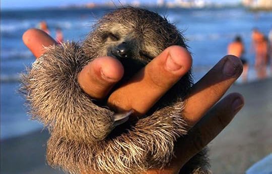 Sloth Sanctuary of Costa Rica