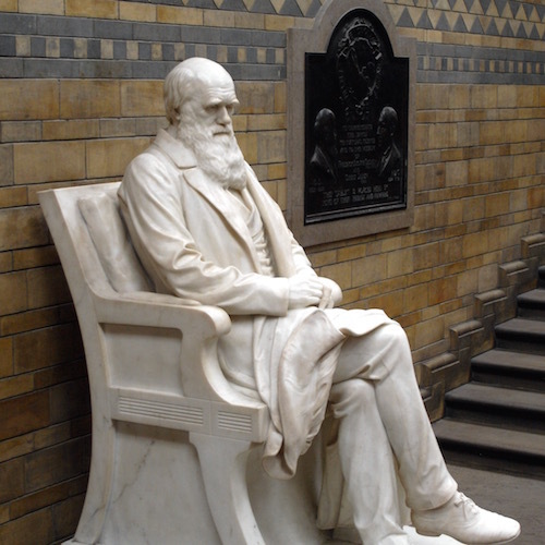 Charles_Darwin_statue_5665rj.jpg
