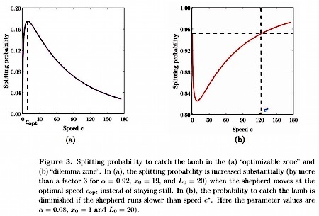 skittish-lamb-strategy