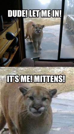 mittens