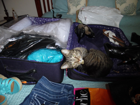 Packing is always a challenge.