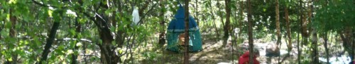 The Children's Wood