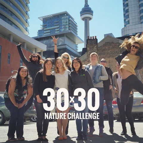 Photo: Our corporate partners take the 30x30 Nature Challenge to work