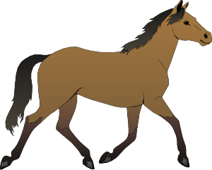 buckskin horse