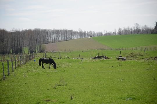 DSC_9264