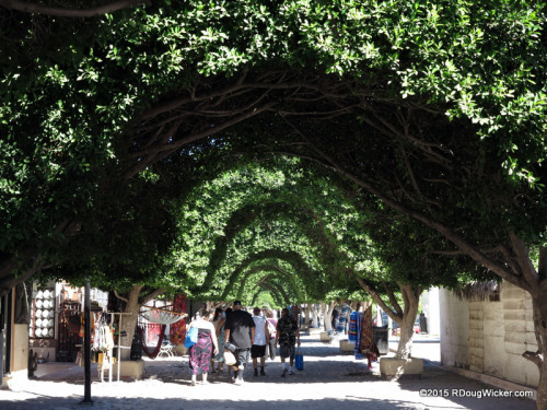 Shaded Walkway