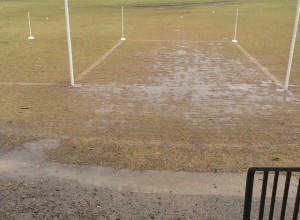 A Belated Mother's Day Present