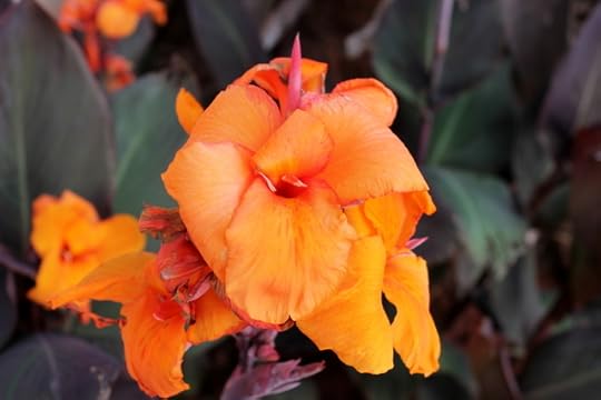 Some reading for the weekend |www.OrganisingQueen.com