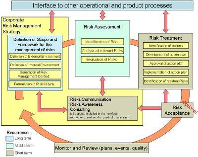 risk management process