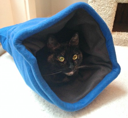 Comfy-Cocoon-Jackson-Galaxy_Petmate